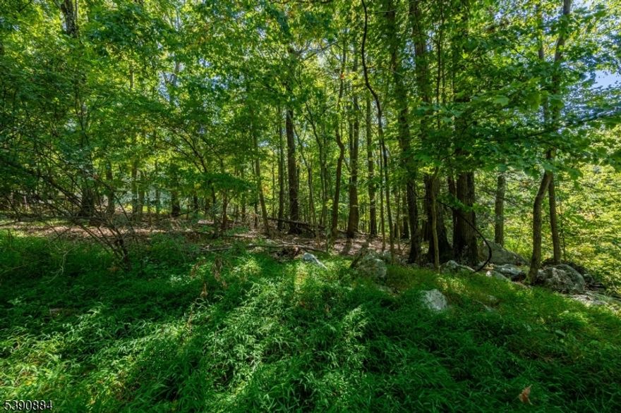 Discover the perfect setting for your next home or investment in the desirable Highland Lakes area of Vernon! This 0.61acre parcel is located in a peaceful neighborhood within the Planned Lakes Community (PLC) zone, offering flexibility for residential development and recreation. The lot features a natural wooded landscape with access to nearby lakes, beaches, and community amenities. Enjoy year-round outdoor activities including hiking, skiing, and boating all just minutes from Mountain Creek and Warwick, NY.Buyer responsible for all due diligence, permits, and utility verification. Great opportunity to build in one of Vernon's most scenic lake communities!