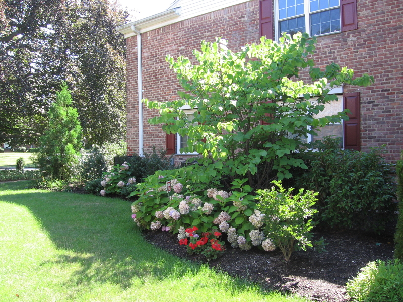 Raine Court - Residential Lease