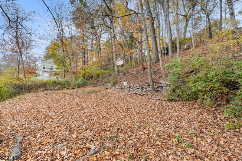 Cupsaw Lake - Residential