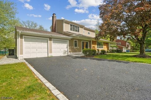 1006 Papen Rd Bridgewater Twp. NJ 08807