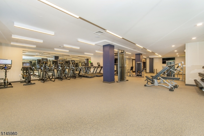 The Kingsley - Residential Lease