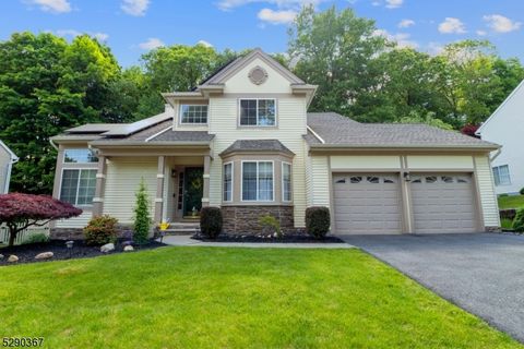 52 Connelly Ave, Mount Olive Twp., NJ 07828 - #: 3904051