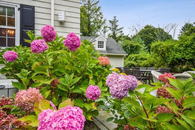 Deerfield - Residential