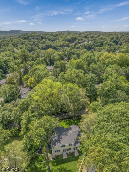 Old Short Hills - Residential