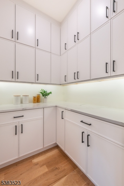 Old Short Hills - Residential