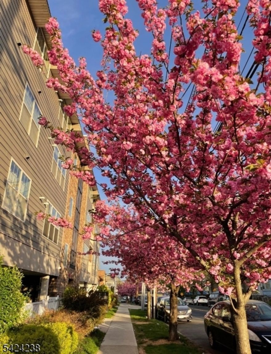 Welcome to this well maintained, move in ready, 1 bedroom, 1 bathroom condo in a conveniently located area near major highways such as route 1&9 & I-95/ NJ Turnpike. It also offers easy access to NYC , Newark International Airport, Jersey Gardens Mall, Union County College, Kean University, cafes, amazing restaurants such as Valenca Restaurant and much more. All of these amenities makes it a desired place to live. This unit has a modern open concept kitchen-living room combo, updated stainless steel appliances and a center island for your entertainment.  Kitchen has granite top. Stackable laundry unit in the bedroom walk-in closet. Lots of natural sunlight. Central and hot forced air.  There is one parking spot assigned in a covered space (perfect for those rainy or snowy days) with an electrical gate. Sold AS-IS.