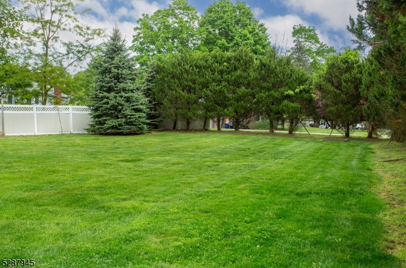 Park Road Area - Residential