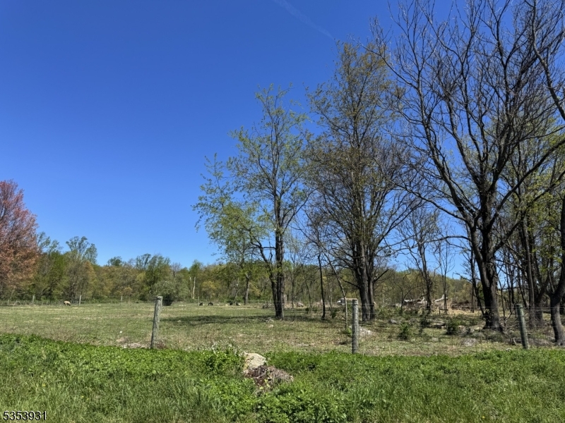 95A Calais Rd