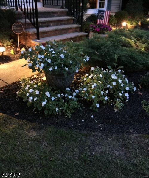 Capital Estates - Residential