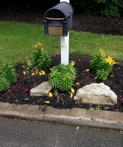 Capital Estates - Residential