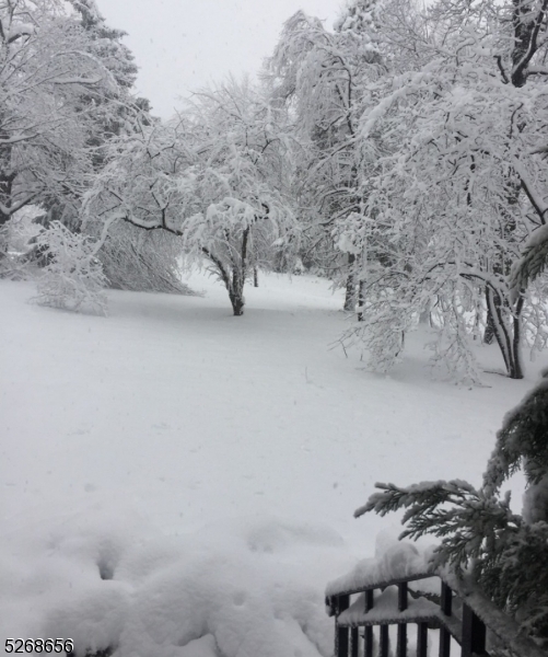 Capital Estates - Residential