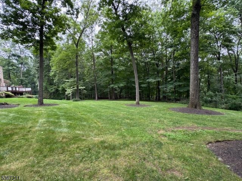 Brookrace - Residential