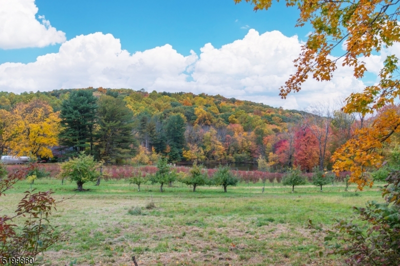 Port Murray - Residential Lease