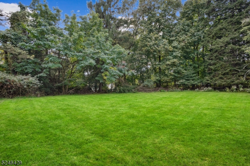 Old Short Hills - Residential