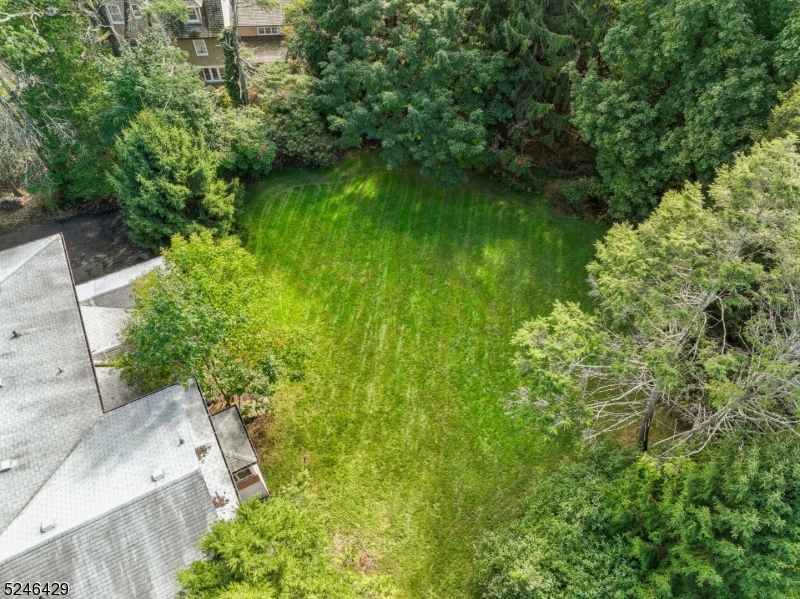 Old Short Hills - Residential