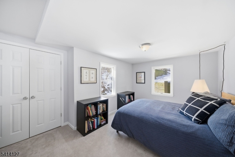 Cedar Lake - Residential