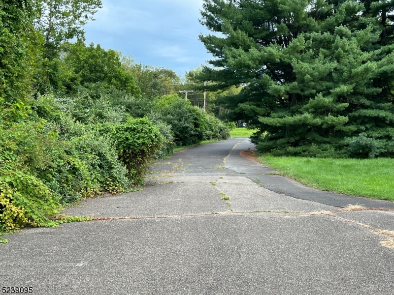 Neshanic Station - Commercial Sale