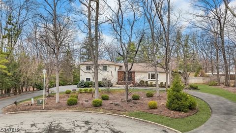 18 Salter Dr Montville Twp. NJ 07045