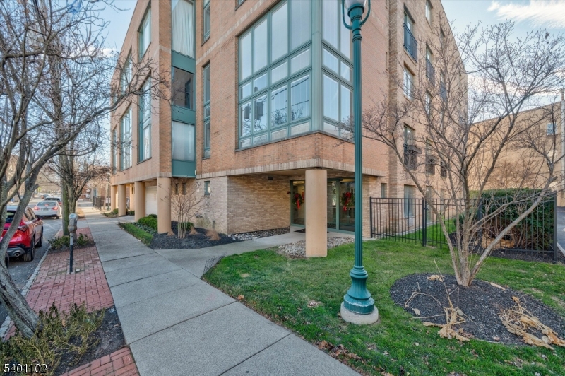 Walnut Street - Residential