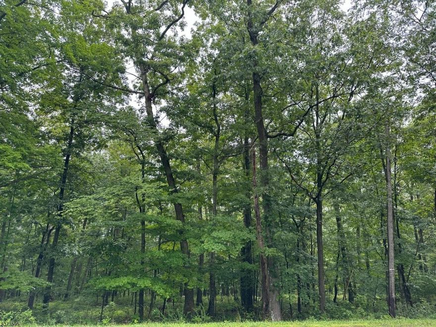 6 acres, currently Farm Assessed in Woodland Management.  Approved Site Plan available for your review.  This piece was part of 18 acres.  There is a 5-acre lot that is available as well.  Ready and waiting for you to build your HOME.  Desirable Rural Location.  Buyer to do due diligence with the town to confirm taxes and land assessment.