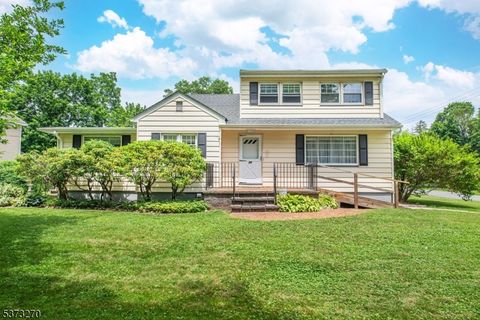 25 Forest Rd, Mount Olive Twp., NJ 07828 - #: 3976758