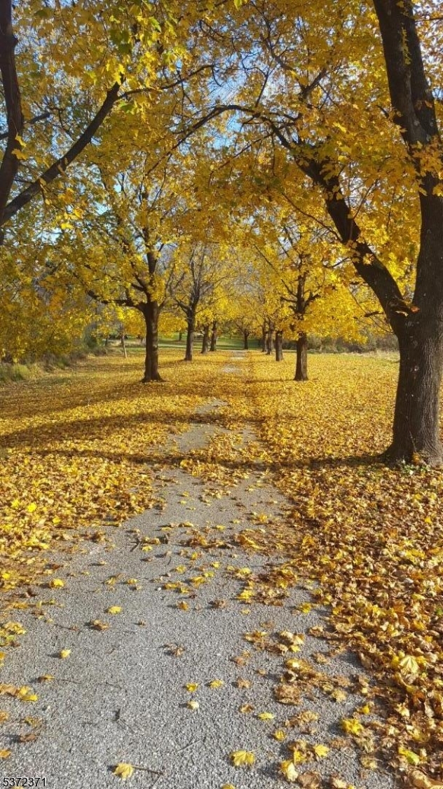 Fredon Twp., New Jersey 07860, United States, 4 Bedrooms Bedrooms, ,3 BathroomsBathrooms,Residential,Coming Soon,173086