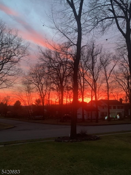 Nestlingwood - Residential