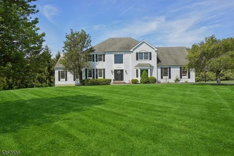 3 Creek Rd Readington Twp. NJ 08889