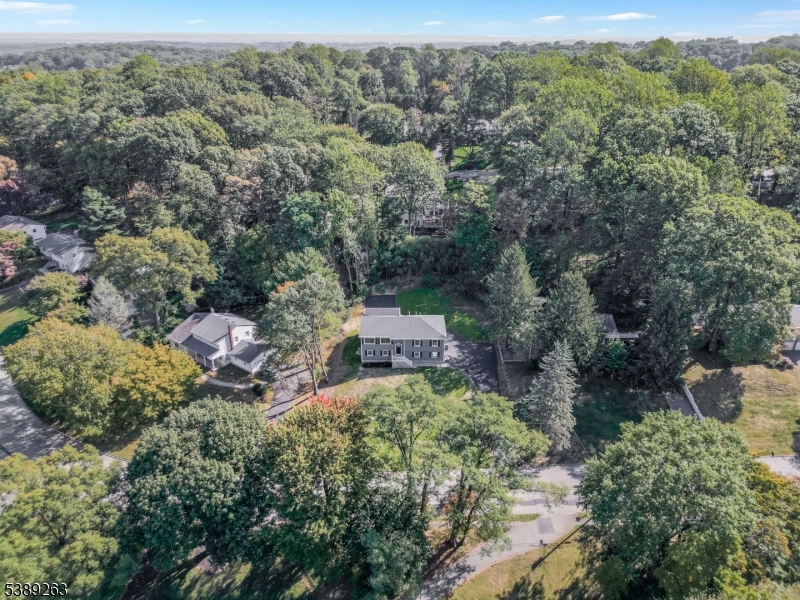 Burnham Park - Residential