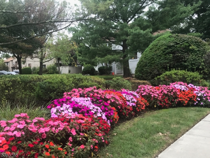 Sayrebrooke - Residential