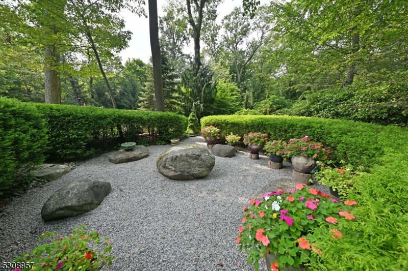 Rio Vista - Residential