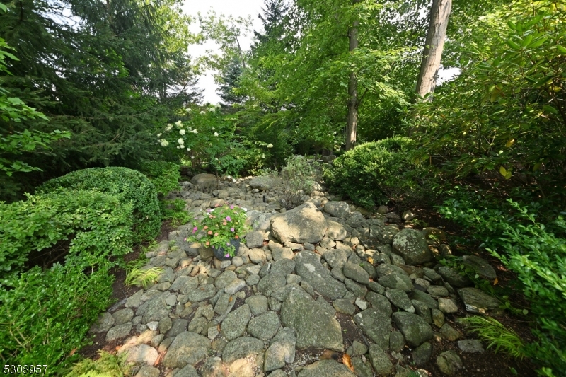 Rio Vista - Residential