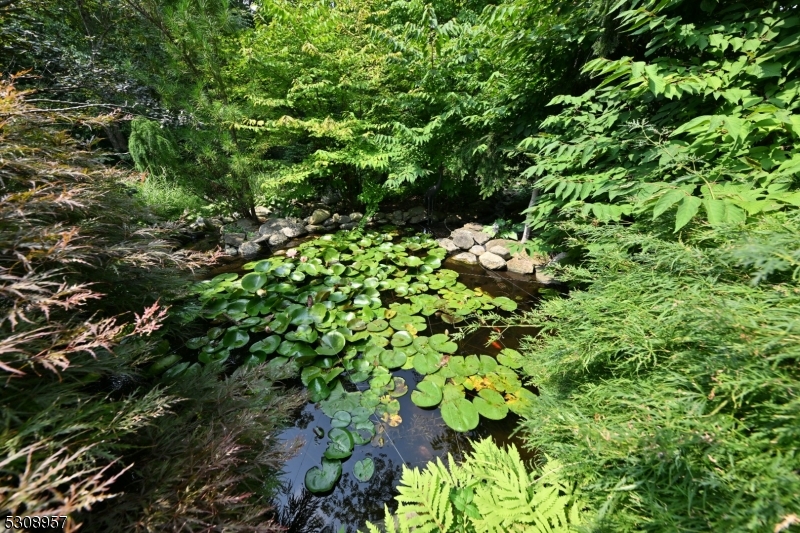 Rio Vista - Residential