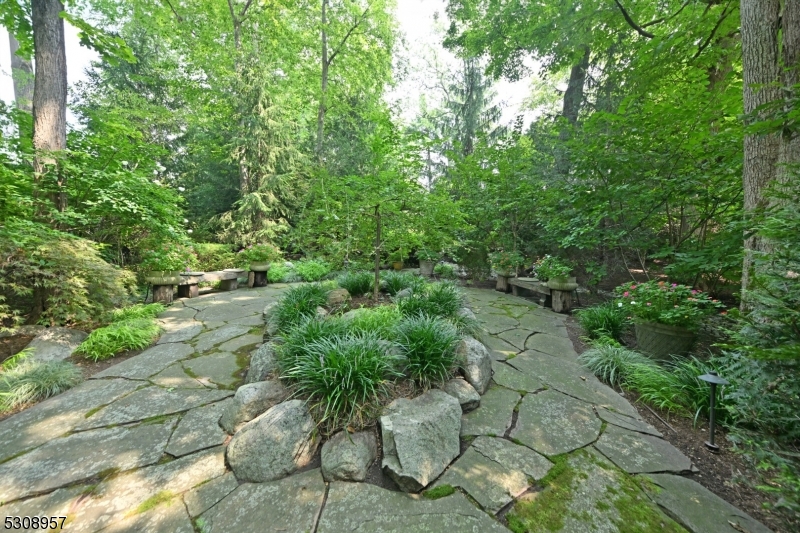 Rio Vista - Residential