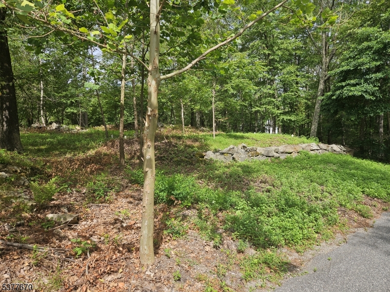 Lake Panorama - Land