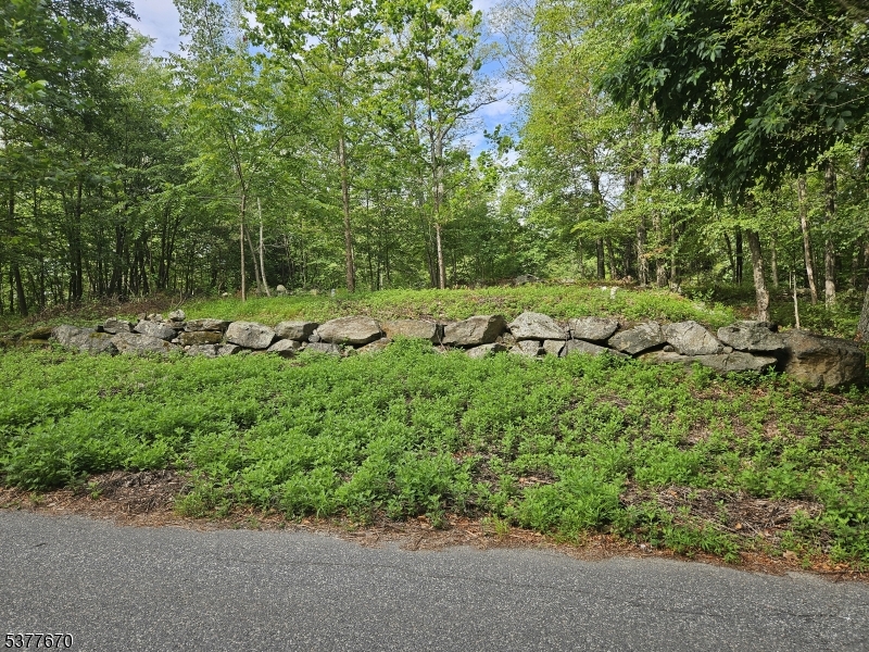Lake Panorama - Land