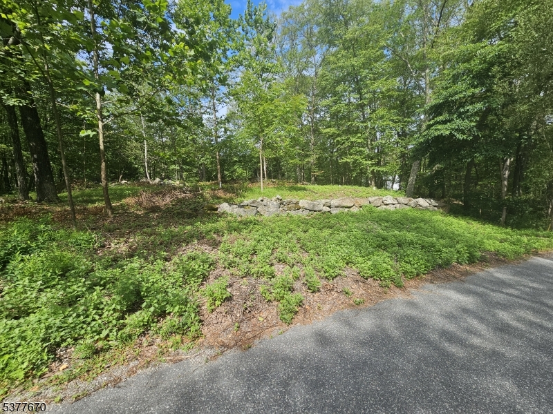 Lake Panorama - Land