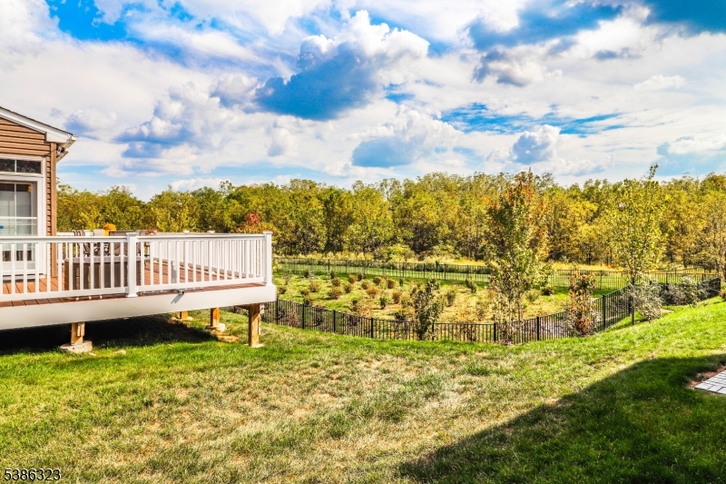 The Villages at Hawk Pointe - Residential