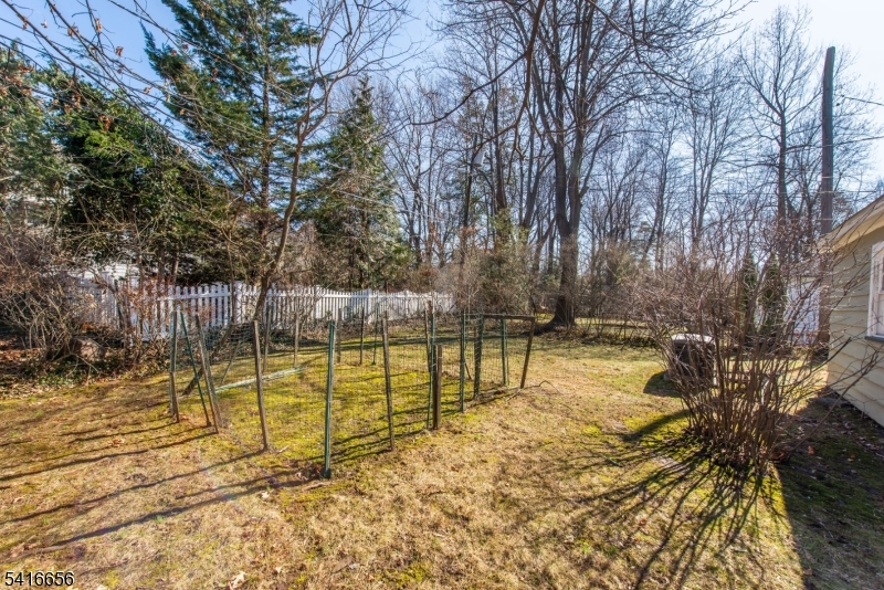 Upper Montclair - Residential