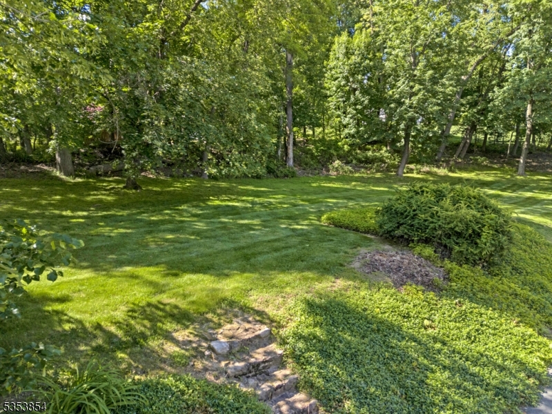 In Town - Residential