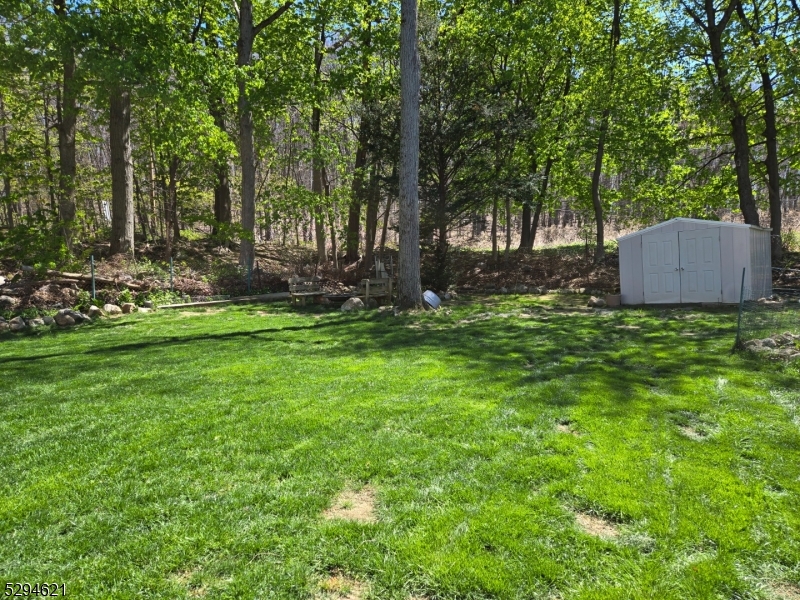 Budd Lake - Residential