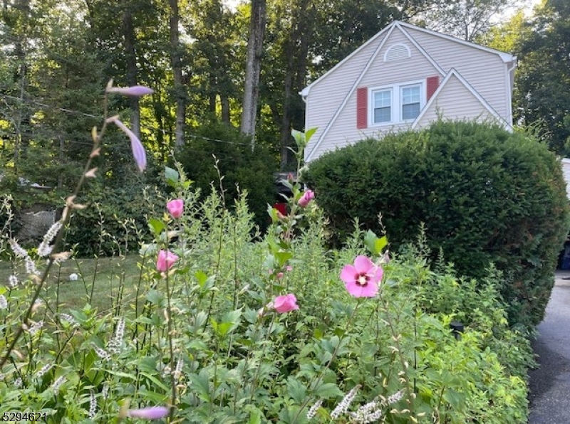 Budd Lake - Residential