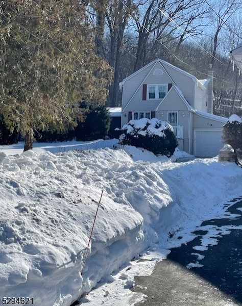 Budd Lake - Residential