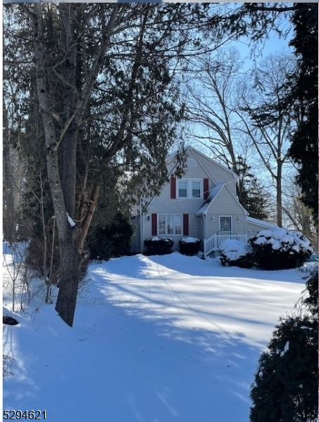 Budd Lake - Residential