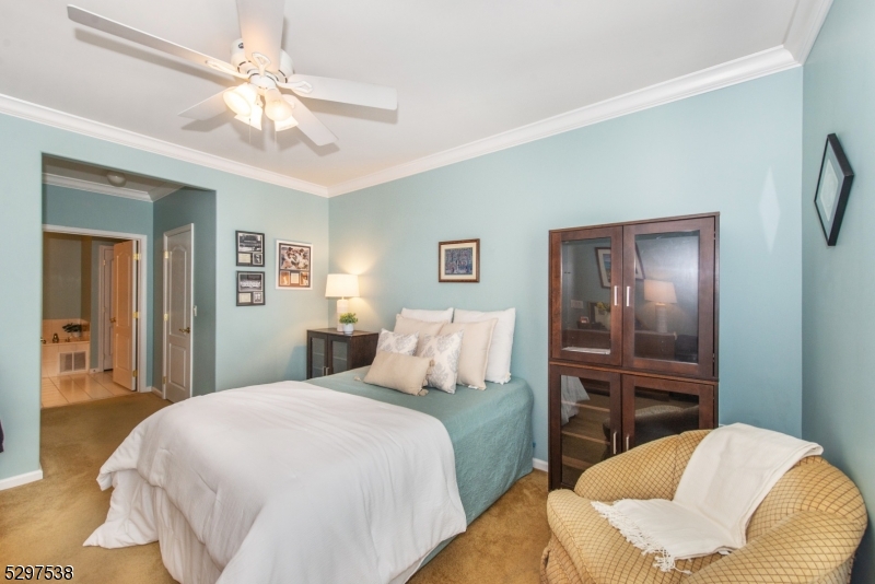 Renaissance Adult - Residential