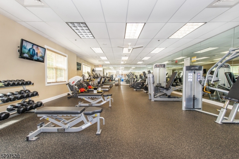 Renaissance Adult - Residential