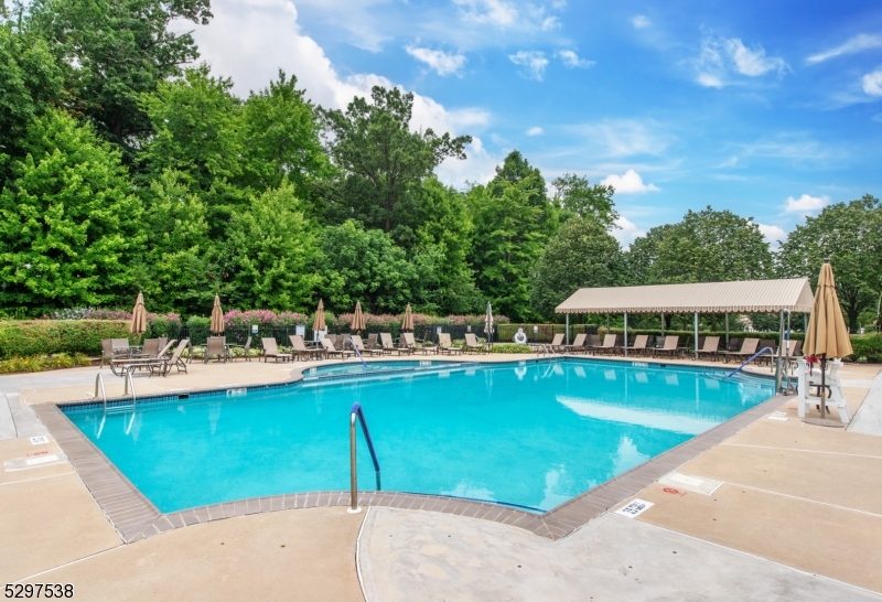 Renaissance Adult - Residential