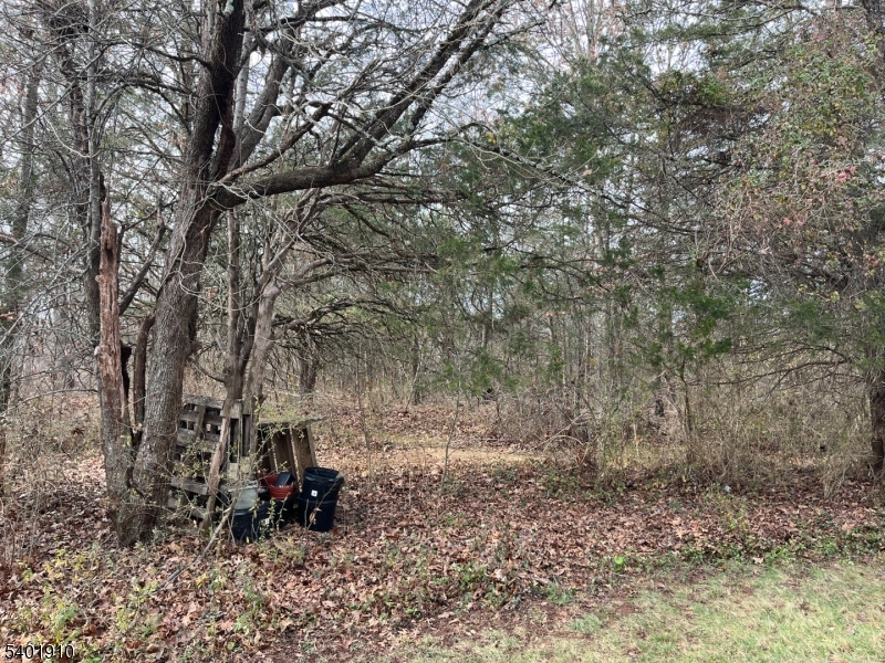 Pike Run - Residential