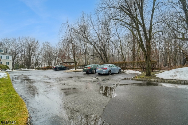 Tulip Meadows - Residential