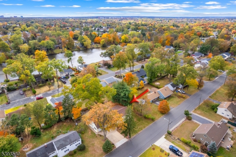 Lake Nelson - Residential